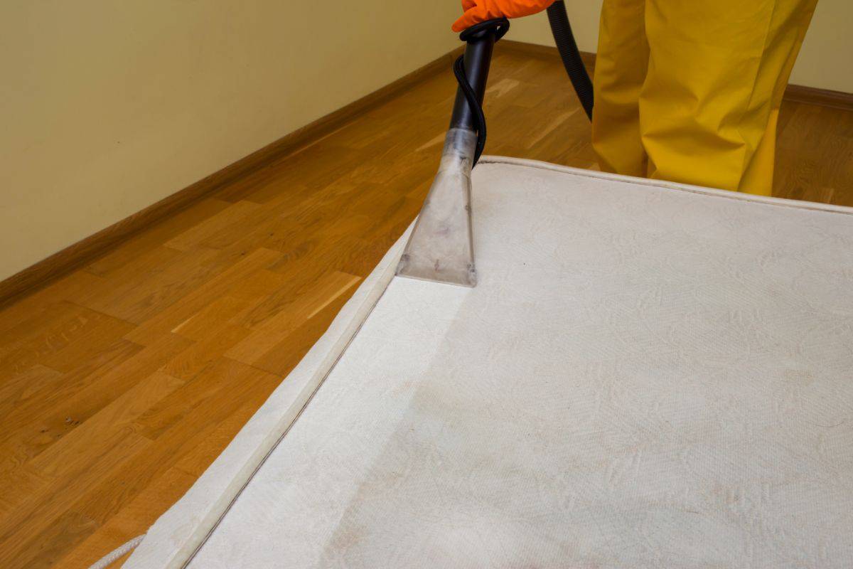 Mattress Cleaning